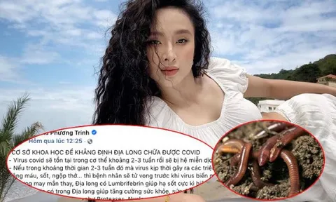 Angela Phương Trinh bị phạt 7,5 triệu đồng vì đăng tin địa long chữa COVID-19