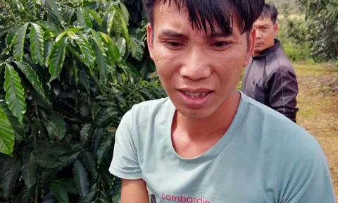 Tạm giữ đối tượng đột nhập vào nhà khống chế, hiếp dâm chủ nhà rồi cướp tài sản