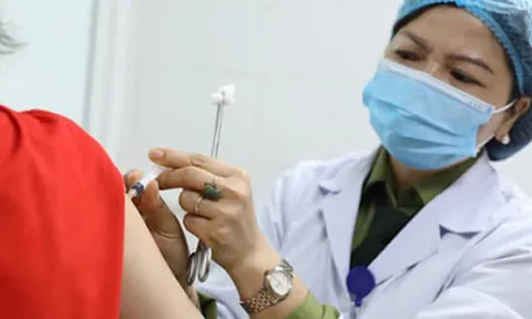 8 nguyên tắc để thích ứng an toàn với đại dịch COVID-19