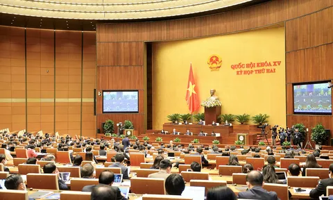 Thảo luận về kinh tế-xã hội sôi nổi, thẳng thắn và trách nhiệm
