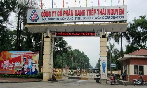 Thiệt hại 830 tỷ đồng, TISCO không đòi bồi thường có thoả đáng?