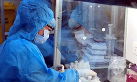 Ngày 18/11: Có 10.223 ca COVID-19 mới; TP HCM, Hà Giang và Tây Ninh tăng số mắc