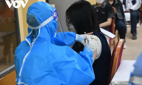Hà Nội tạm dừng tiêm 2 lô vaccine Pfizer được gia hạn thêm 3 tháng