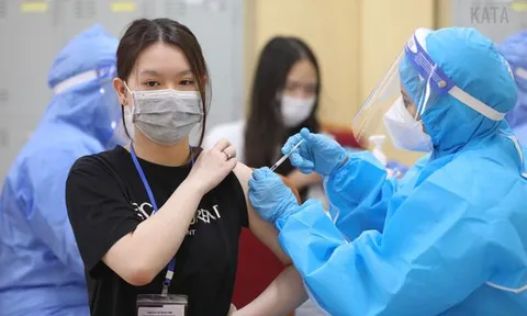 Bộ Y tế: Việt Nam đàm phán nguồn vaccine phòng COVID-19 tiêm cho trẻ 5-11 tuổi