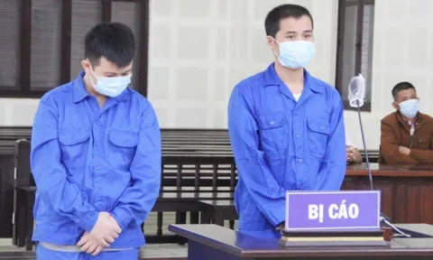 Thuê 7 ô tô từ Đà Nẵng, Huế mang ra Hà Nội cầm cố