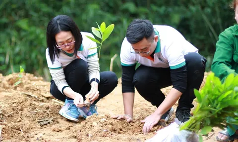 ABBANK khởi động chương trình Tết an bình năm thứ 13 - 'Gieo mầm xanh hy vọng'