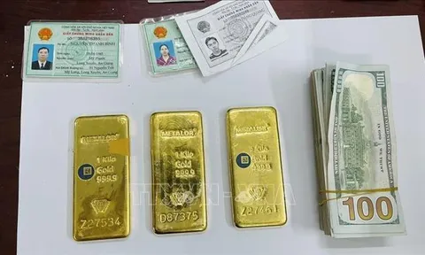 An Giang: Phát hiện số lượng lớn vàng và ngoại tệ nhập lậu trị giá hàng chục tỷ