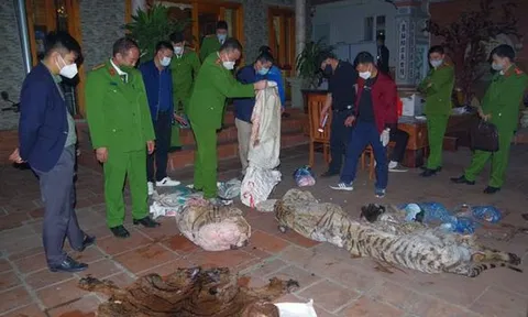 Phát hiện vụ giết hổ nấu cao trái phép tại nhà Chủ tịch xã ở Thái Nguyên