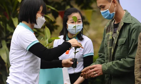 Tết An Bình 2022: 'Gieo mầm xanh hy vọng'