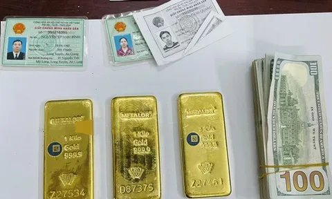 Khởi tố 6 bị can liên quan đến đường dây mua bán vàng, USD lậu ở An Giang