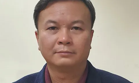 Khởi tố, bắt giam Chủ tịch Công ty Công viên cây xanh Hà Nội Vũ Kiên Trung