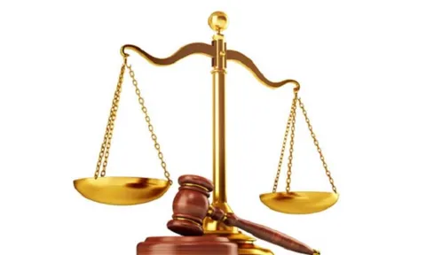 Vai trò của công ty, văn phòng luật sư đối với các doanh nghiệp trong nước
