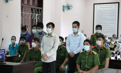 Giám đốc lừa đảo hơn 800 người, chiếm đoạt gần 160 tỷ lĩnh án chung thân