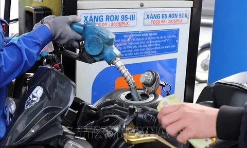 Giảm thuế bảo vệ môi trường với xăng dầu: Kỳ vọng giá xăng hạ nhiệt