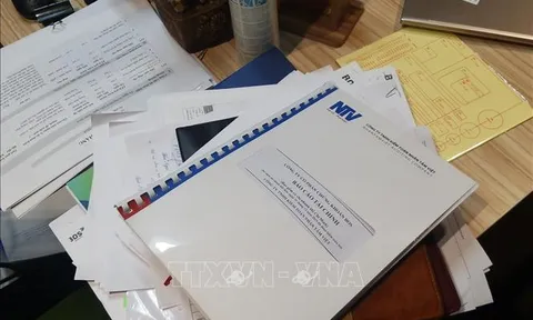 Khởi tố thêm một em gái của Chủ tịch Tập đoàn FLC Trịnh Văn Quyết