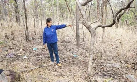 Khởi tố người phụ nữ cùng nhân tình lên kế hoạch giết chồng rồi tạo hiện trường giả