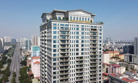 Nhà đầu tư nên làm gì nếu không thu được tiền từ mua trái phiếu?