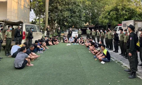 Triệt phá sới gà núp sâu trong trang trại ở Vĩnh Phúc, bắt hơn 40 đối tượng