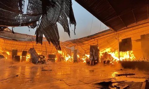 Hà Nội: Cháy xưởng gỗ dán ở huyện Gia Lâm