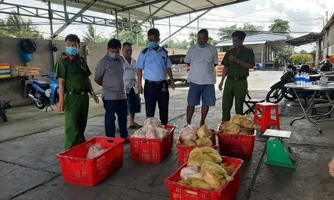 Phát hiện gần 3,5 tạ thực phẩm đông lạnh không rõ nguồn gốc tại Cần Thơ