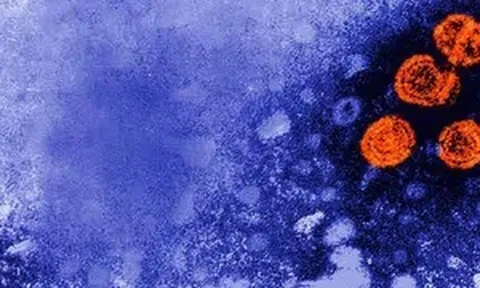 Bộ Y tế: Theo dõi chặt chẽ bệnh viêm gan cấp tính 'bí ẩn' ở trẻ, báo cáo ngay trường hợp bất thường