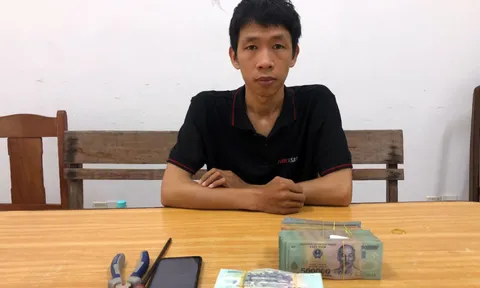 Đột nhập cửa hàng đặc sản, đục két sắt trộm gần 300 triệu đồng