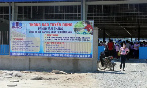 Quảng Nam: Xây dựng công trình không phép, 2 doanh nghiệp bị phạt 260 triệu đồng