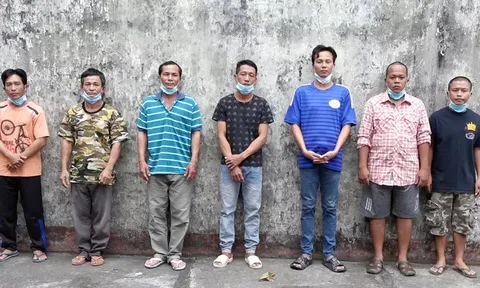 Khởi tố, bắt tạm giam 7 đối tượng phá rừng ở Phú Quốc