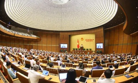 Kỳ họp thứ 3, Quốc hội khóa XV: Quốc hội, Chính phủ đã triển khai các chương trình hành động đạt được kết quả toàn diện