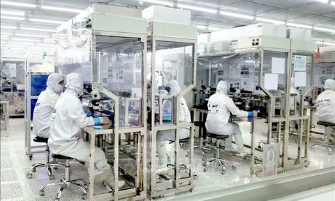 Phê duyệt Chiến lược hợp tác đầu tư nước ngoài giai đoạn 2021 - 2030