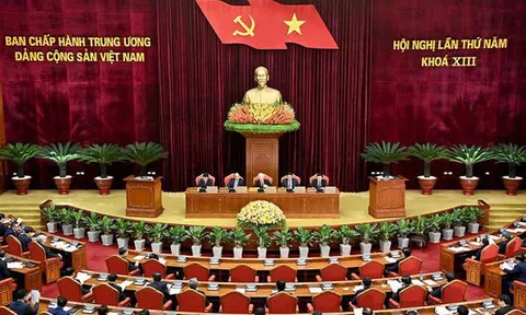 Quy định về chức năng, nhiệm vụ của Ban Chỉ đạo phòng, chống tham nhũng, tiêu cực tỉnh, thành phố