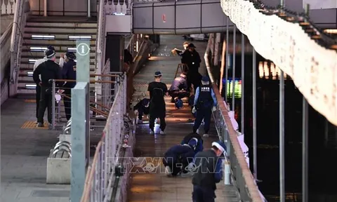 Xét xử vụ người Việt bị sát hại ở Osaka (Nhật Bản): Tòa án ra phán quyết 12 năm tù giam