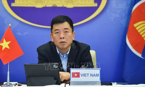 Hội nghị trực tuyến các Quan chức Cao cấp ASEAN+3