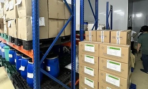 Bắt giám đốc công ty dược sản xuất thuốc tân dược giả quy mô lớn