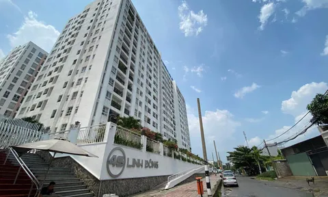 Hai cha con tử vong trong căn hộ chung cư ở TP.HCM