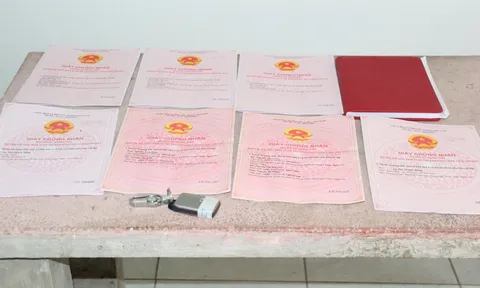 Bắt nhóm đối tượng giả danh cán bộ Sở Tài nguyên và Môi trường lừa đảo chiếm đoạt 15 tỷ đồng