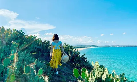 Trải nghiệm vi vu Phú Yên những ngày nắng hạ