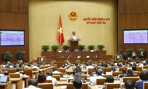 Thông qua Luật sửa đổi, bổ sung một số điều của Luật Sở hữu trí tuệ