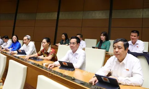 Thông qua Nghị quyết thí điểm mô hình tổ chức lao động, dạy nghề cho phạm nhân ngoài trại giam