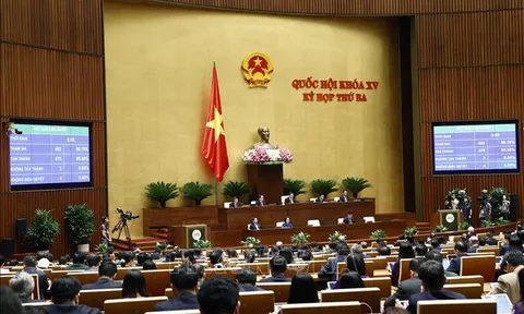 Tổ chức triển khai hiệu quả các luật, nghị quyết vừa được Quốc hội thông qua