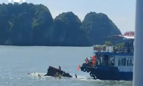 Va chạm với tàu du lịch, tàu chuyển tải chìm trên biển khiến 1 nữ du khách tử vong