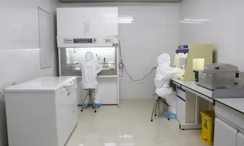 Tạm giam trưởng khoa xét nghiệm CDC Yên Bái liên quan vụ Việt Á