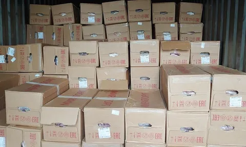 Phát hiện xe tải vận chuyển 16 tấn thịt heo không rõ nguồn gốc ở An Giang