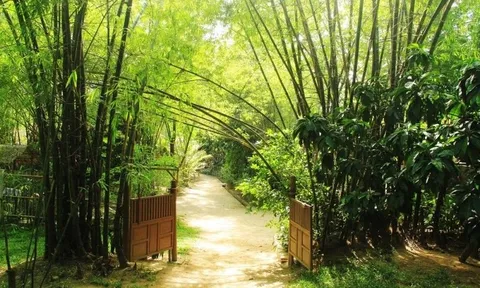 'Đi', với người Việt