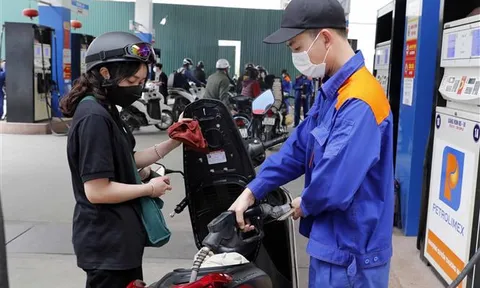 Triển khai ngay Nghị quyết về mức thuế bảo vệ môi trường đối với xăng, dầu, mỡ nhờn