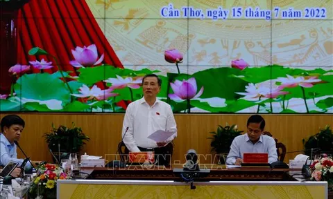 Giám sát thực hiện chính sách, pháp luật về bảo vệ quyền lợi người tiêu dùng