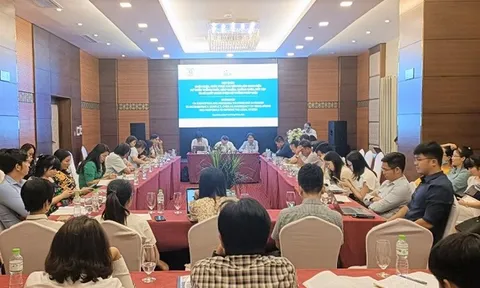 7 giải pháp hoàn thiện pháp luật và nhận diện mâu thuẫn, bất cập trong hệ thống pháp luật