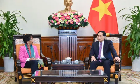 Liên Hợp Quốc đánh giá cao thành tích phát triển của Việt Nam