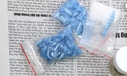 Bắt tạm giam 'nữ quái' giấu ma túy trong gần 120 đoạn ống hút