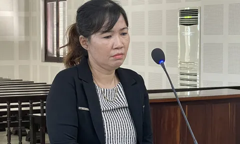 Tổ chức cho người Hàn Quốc ở lại Việt Nam trái phép, người phụ nữ bị phạt 30 tháng tù